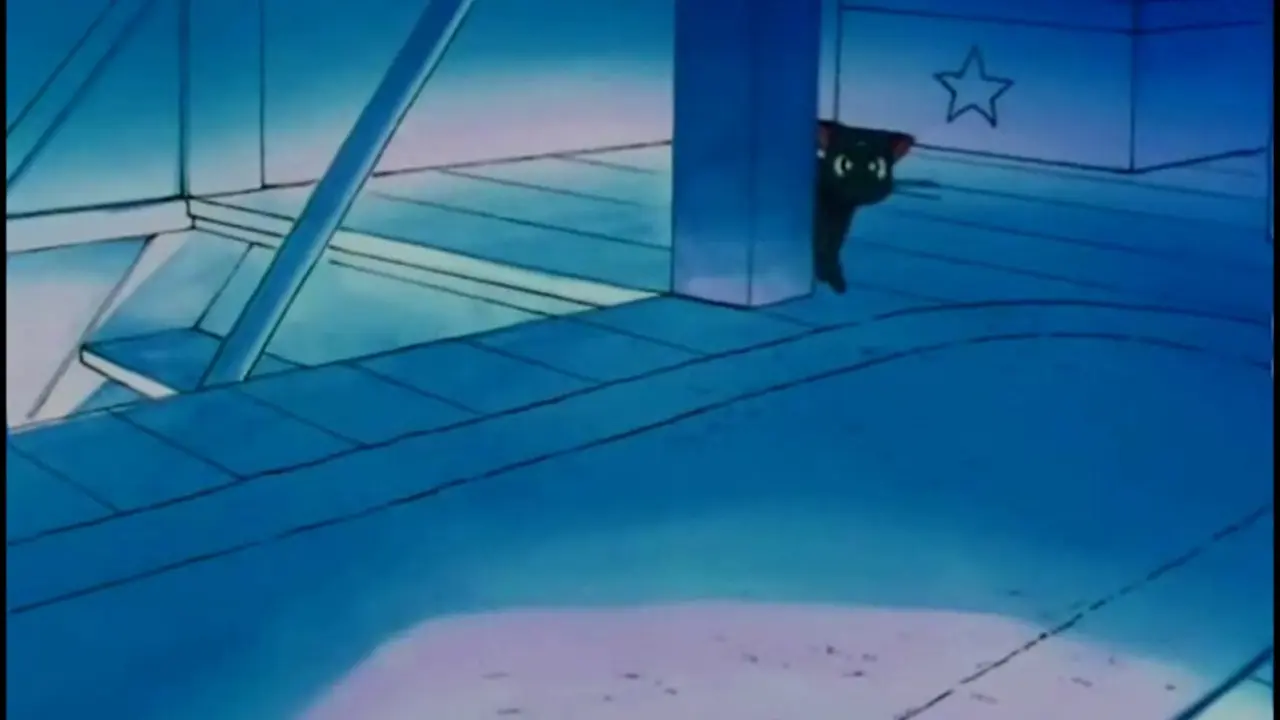 Episode 7