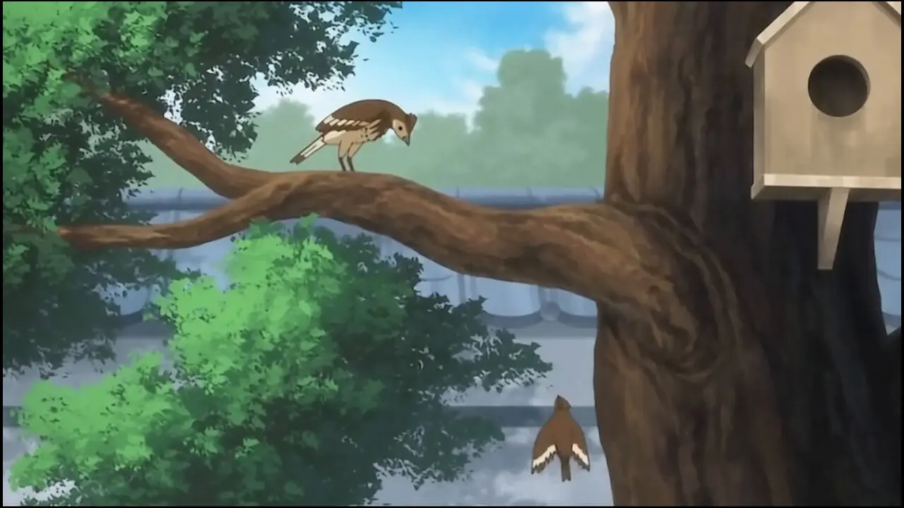 Episode 29