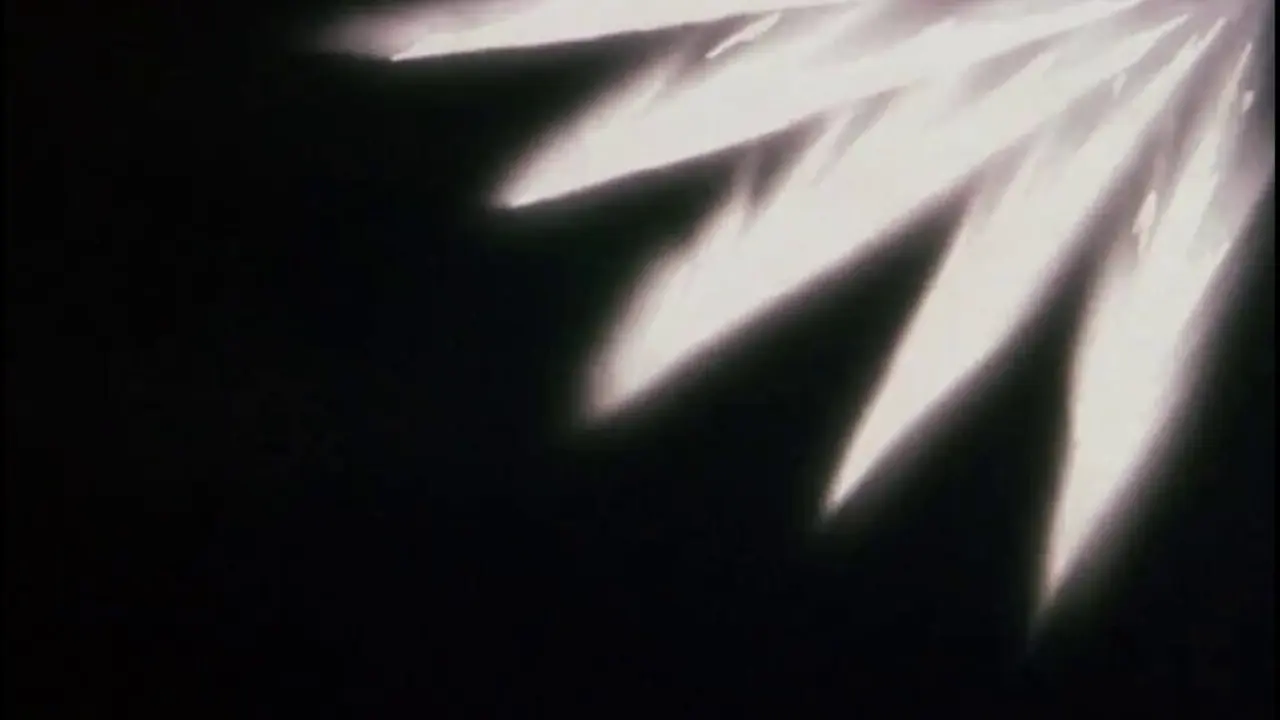 Episode 39
