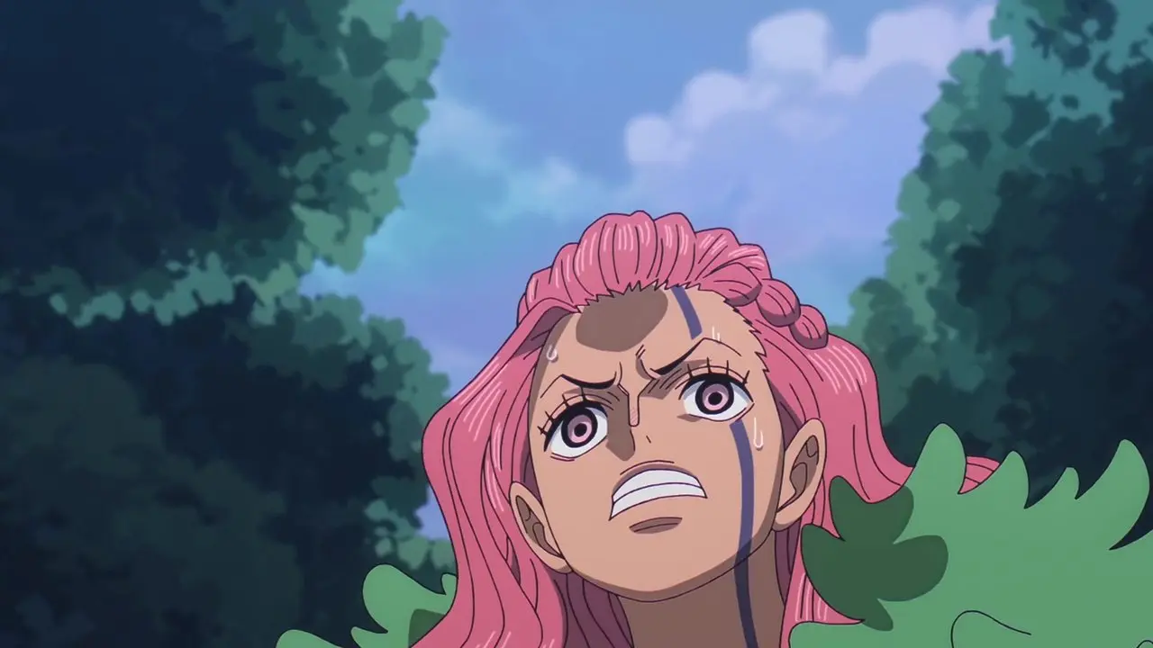 One Piece, Episode E24