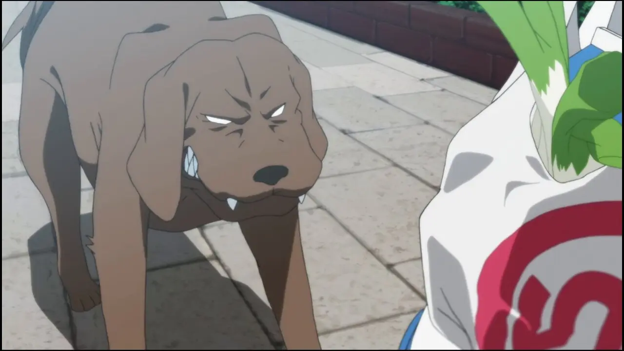 Episode 5